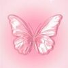 butterflyco21